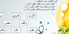كل الدروس المتعلقة باللغة العربية للسنة الاولى ابتدائي